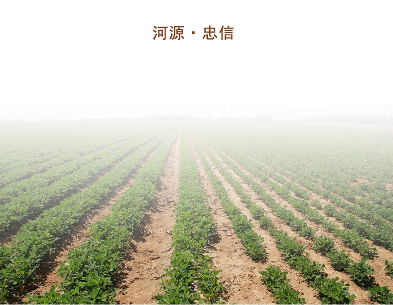 微信圖片_20181220181156.jpg