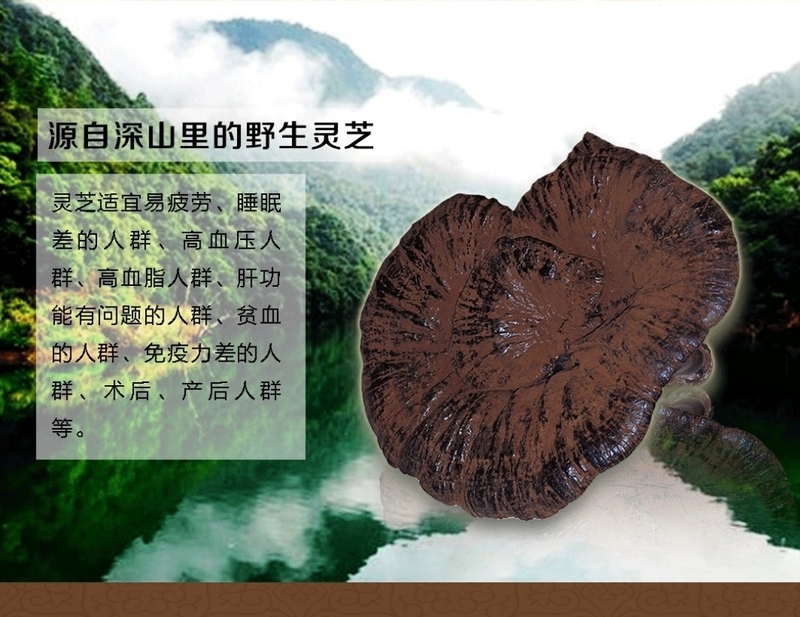 微信圖片_20181219115235.jpg