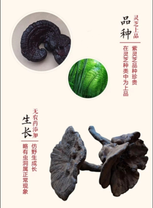 微信圖片_20181219115833.jpg