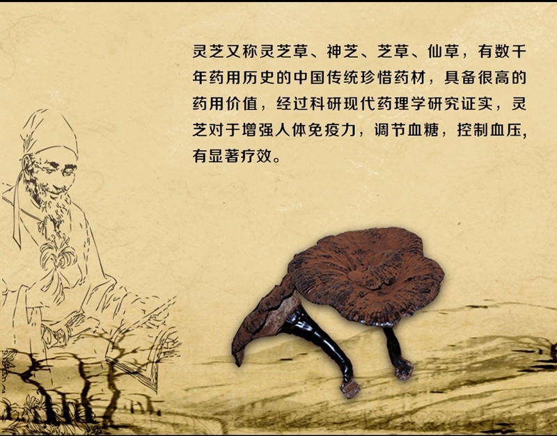 微信圖片_20181219115919.jpg