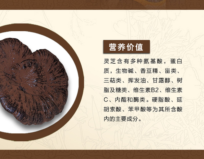 微信圖片_20181219115913.jpg