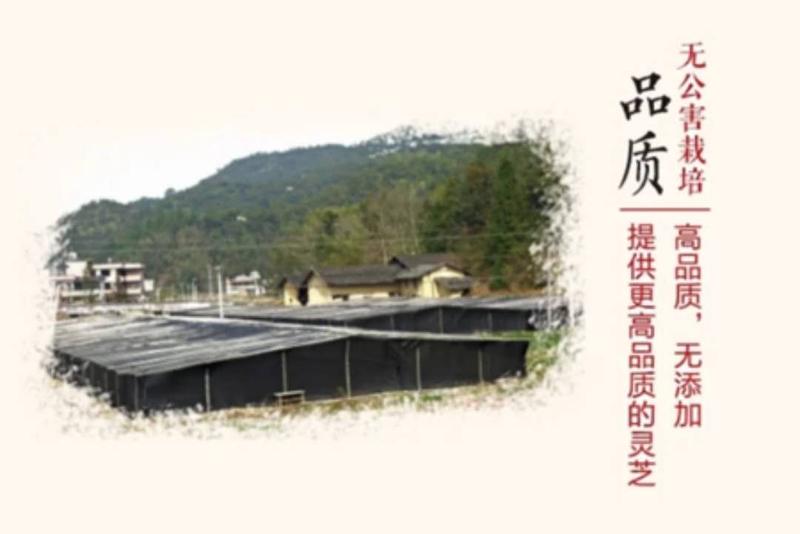 微信圖片_20181219115838.jpg